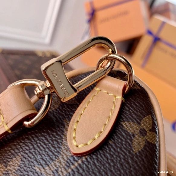WIS VUITTON NANO LOUIS SPEEDY 0906